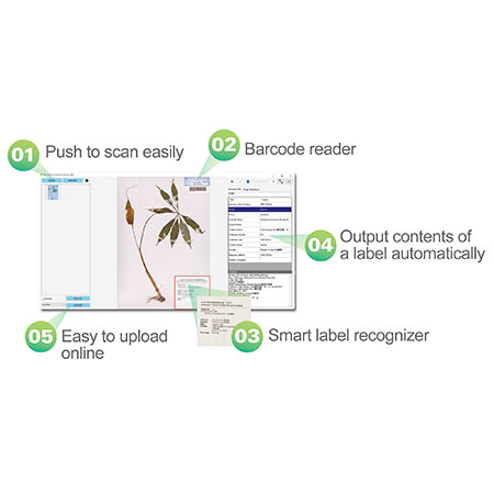 Σύστημα Διαχείρισης Δειγμάτων Herbarium - 7-7,MiBotany Σύστημα Διαχείρισης Δειγμάτων Herbarium - 7-7,MiBotany