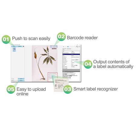 Система Управления Образцами - 7-3,Herbarium Specimens Archiving Solution (MiVapp-Botany) Система Управления Образцами - 7-3,Herbarium Specimens Archiving Solution (MiVapp-Botany)