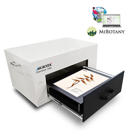 Herbarium provhanteringssystem - 7-7,MiBotany